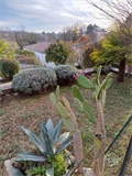 Photo numero 46438420 du bien UBI461046467